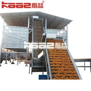 Citrus Fruit NFC Juice Processing Machinery Line With Customized Machine