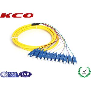 SC/UPC 12 fibers fanout fiber optic pigtail single mode mono mode optical