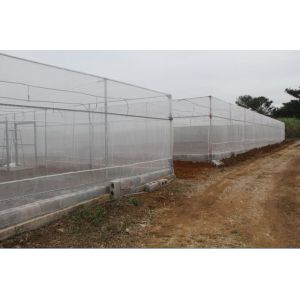 High Density Polyethylene Monofilament Yarns Anti Insect Nets For Greenhouse