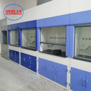 Integrated Structure Laboratory Fume Cupboard Alkali Resistant