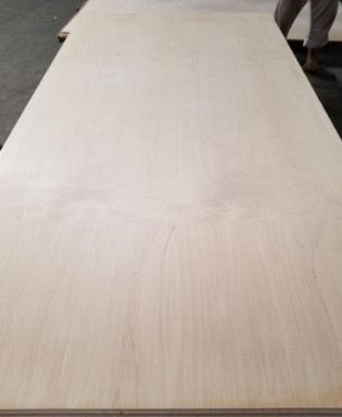 Buy Full Birch Plywood at wholesale prices