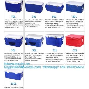 Custom Medical Organ Transport Portable Cooler Wine Beer Styrofoam Ice Chest