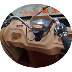 Electric 300Kg 650W Motor Transport Tuk Tuk