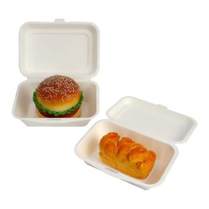 Customized biodegradable fast food burger box