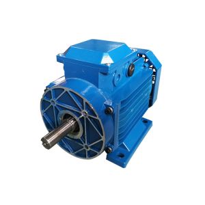Little Vibration Three Phase Asynchronous Motor MS100L2-4 3KW 4HP 4 Pole General