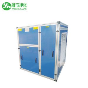 Low Noise Clean Room Ventilation Fresh Air Handling Unit With Horizontal Or