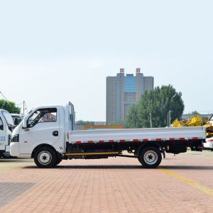 DONGFENG 4*2 Cargo Truck Freight Truck Pick up Truck
