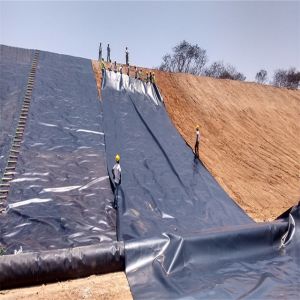 Industrial Impermeable Geomembrane for Mine Soil Remediation Garden Oily