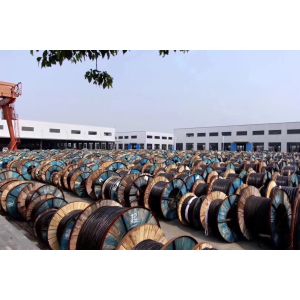 Fangyu(shanghai)Automation Technology Co.,Ltd