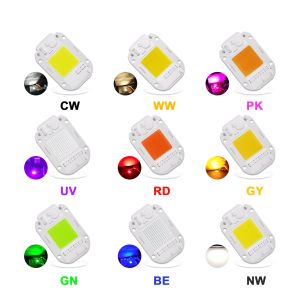 Customized Logo AC COB LED