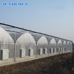 Agriculture Plants Growing Multispan Greenhouse Cooling System With Top / Sides