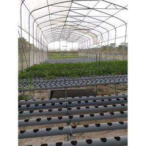 Customized Galvanized Steel Frame Greenhouse For Flowers And Berries