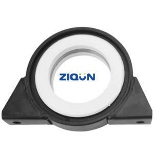 Support Center Bearing 9319 2009 93192009 for IVECO Truck 100mm