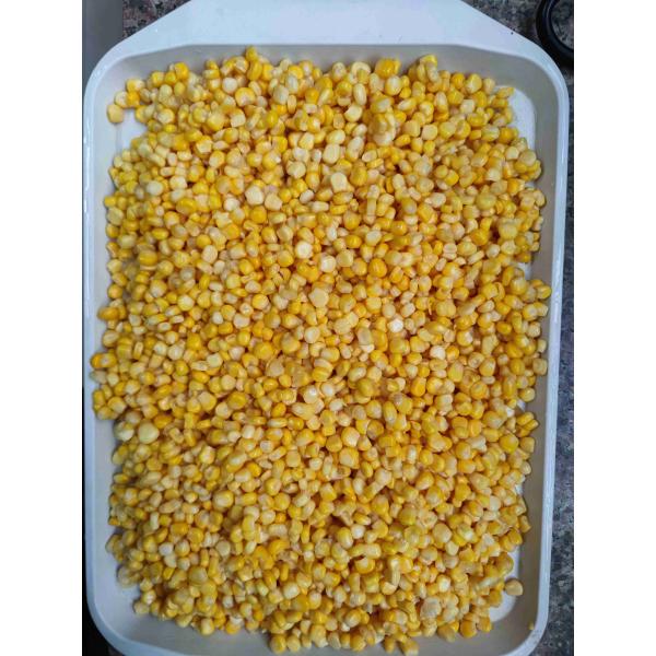 Buy Non-GMO Cultivation Type Canned Yellow Corn and Seasoned Processing Type at wholesale prices