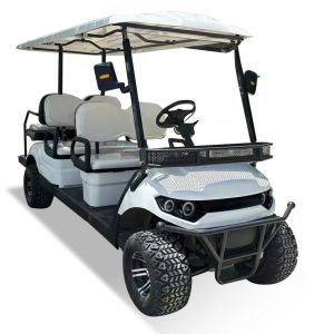 Quality 6 Person 48V 60V 72V 100AH Lead-Acid Cell Long Range Electric Golf Buggy for sale