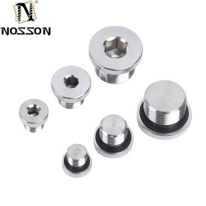 10mm ALLOY Stainless Steel Hexagon Socket Pipe Plug Screw Din908 with ZINC