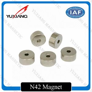 Round Hollow Cylinder Ndfeb Permanent Magnet N52 Diametrically Magnetized