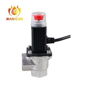 Wrought Aluminum Alloy Gas Solenoid Valve 9 - 12V DC Angel Valve DN15 DN20