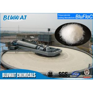Anionic Polyacrylamide Homopolymer Flocculant Off - White Granular Powder