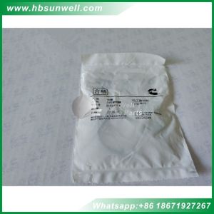 Original aftermarket diesel engine parts ISM QSM M11 L10 water pump O ring seal