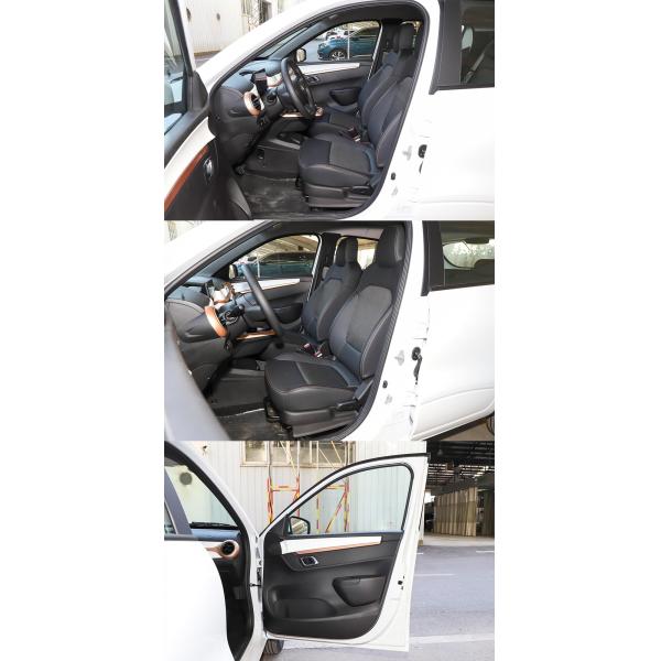 Discover the Perfect Combination of Style and Performance with Dolphin Electric Vehicles' 500cc Mini Car Araba Electrique Adulte