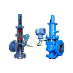 Crosby J-Series Direct Spring Pressure Relief Valves With Natural Gas Skid