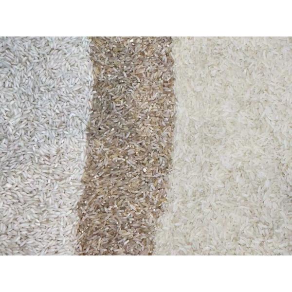 12 Chute Large Capacity Rice Color Sorting Machine Intelligent Color Sorter For Various Crops