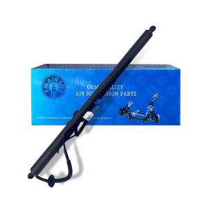 A1568900230 Electric Sliding Gate Opener Operating Mode Electric Customizable and Easy to Install