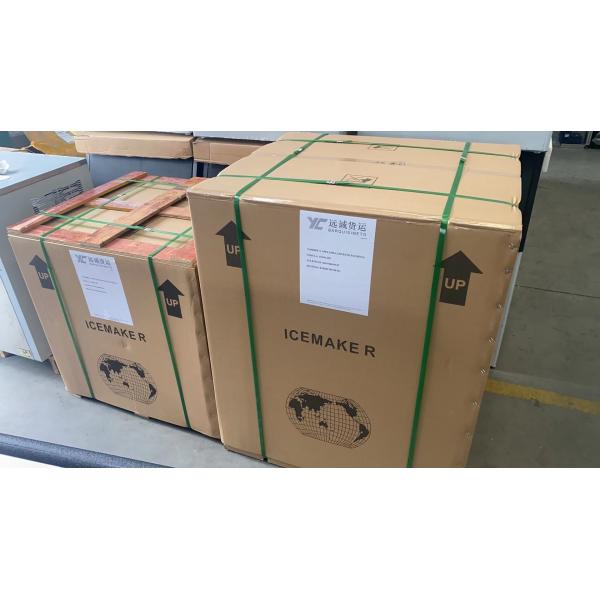 300kg/24h Output Cube Ice Maker Stainless Steel Suitable for Alcoholic Beverages
