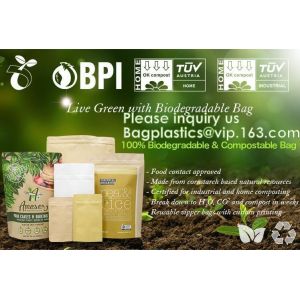 eco friendly Custom Printed 100% Biodegradable food packing bag shopping pla