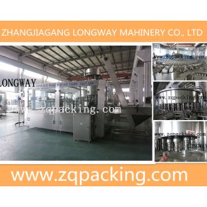 Quality PET bottle Liquid Filling Machine with Water treatment for sale