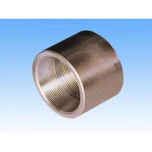 ANSI/ASME Stainless Steel Carbon Steel Socket Welding Coupling Customizable