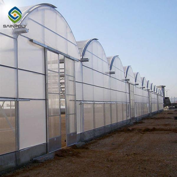Buy 12m Polycarbonate Greenhouse Hydroponic Growing Systems at wholesale prices