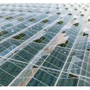 US Float Single Span Greenhouse for Vegetables/Fruits/Flowers and Return refunds