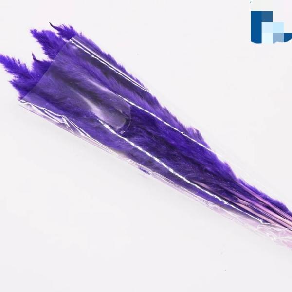 Wholesale Price Preserved Flower Dried Rabbit Tail Grass Decorative Flowers