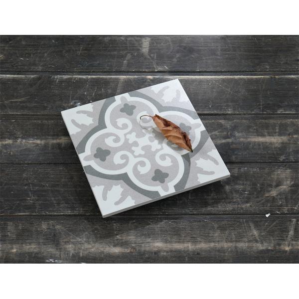 Gray 20x20cm Ceramic Rustic Tile for Indoor Floor