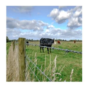 1.5-3cm Barb Length Hot-dipped Galvanized Razor Barbed Wire Roll for Chain Link