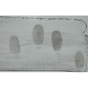 C051 Black adhesive side latent print developer