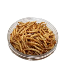 Quality Light Yellow Mealworm Protein Powder Natural and Defesins Ingredients for sale