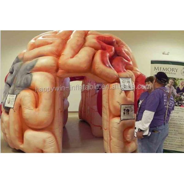 Inflatable Brain Model Tent Inflatable Medical Conferences Exhibitions - Mega Brain
