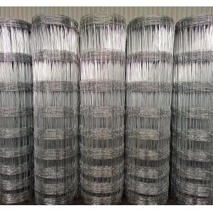 Factory pvc coated welded wire mesh Iron Wire Mesh galvanized welded wire mesh