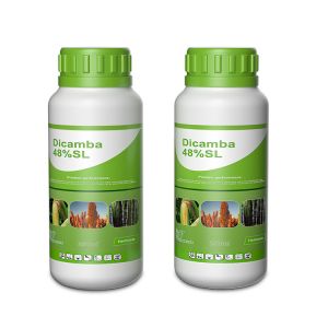 Dicamba 48% SL Roundup Herbicide Kill Broad Keaved Weeds