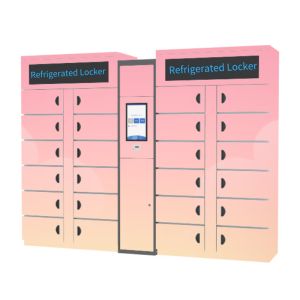 Quality Goods Smart Refrigerated Locker Smart Electronic Vegetable Frozen for sale