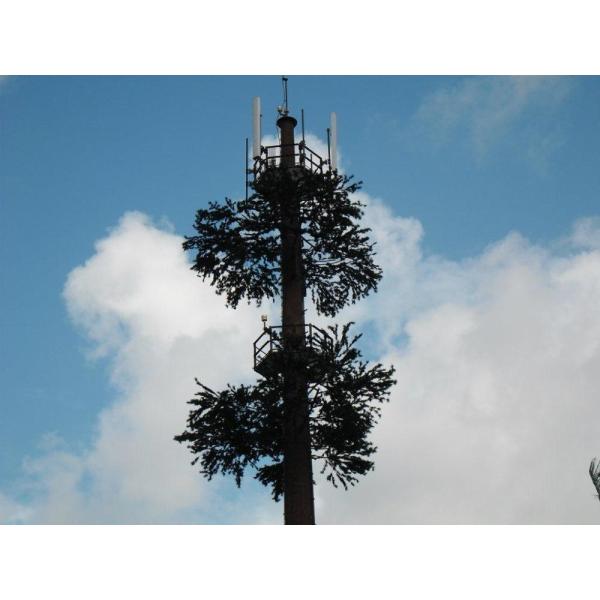Buy Pine Tree 50m Camouflage Cell Tower For Telecommunication at wholesale prices