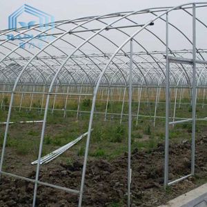 Agriculture Cucumber Chili Single Span Tunnel Plastic Greenhouse With Shading