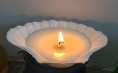 100% paraffin white scented shell candle  packed into gift box