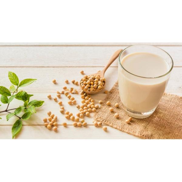 1000L/H Soy Milk Production Line Fully Automatic and Variable Design Variable Speed