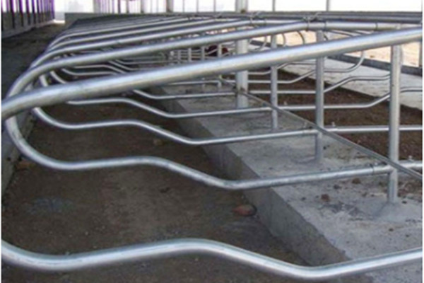 Buy 2m Length 3mm Pipe Livestock Divided Cow Free Stall at wholesale prices