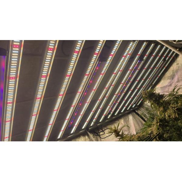 RedFarm 30W Osram 730nm IR 660nm Red Emerson Effect Infrared Grow Bar Supplement Lighting For Cannabis Enhancement 4