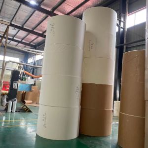 150 To 350gsm Waterproof Coated Paper PE Coated Paper In Roll